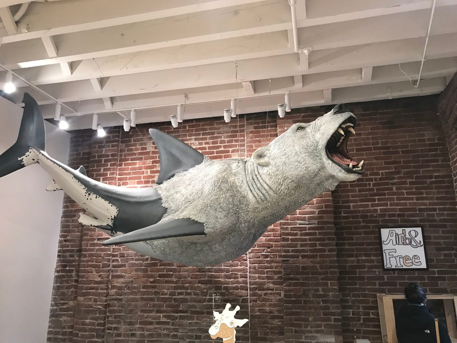 A bear-shark sculpture, half polar bear and half shark, suspended from the ceiling of an Airbnb office