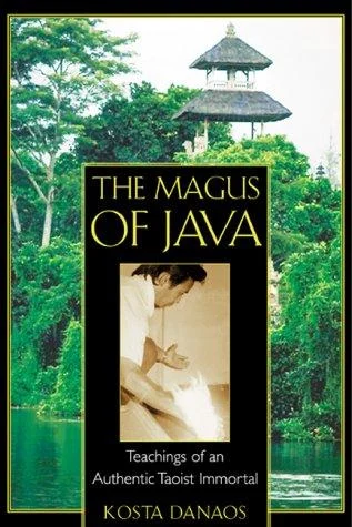The Magus of Java, cover
